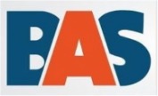 basaccountants.co.za
